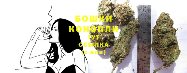 стафф Краснослободск