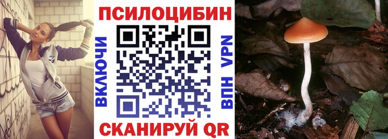Купить где  Невель  Псилоцибиновые грибы ЛСД 